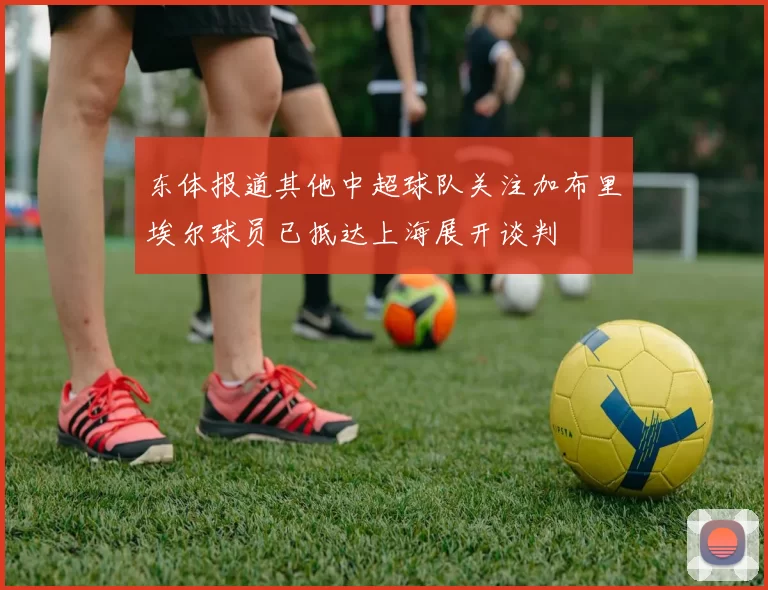 东体报道其他中超球队关注加布里埃尔球员已抵达上海展开谈判